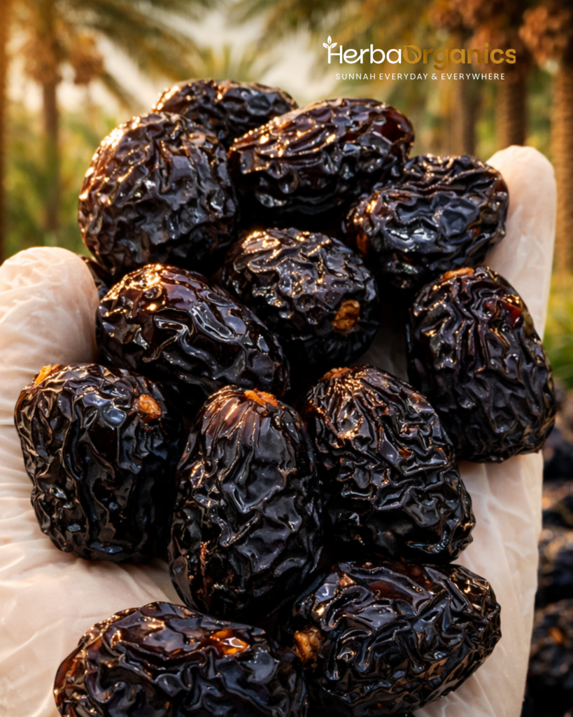 Kurma Ajwa Aliyyah Madinah